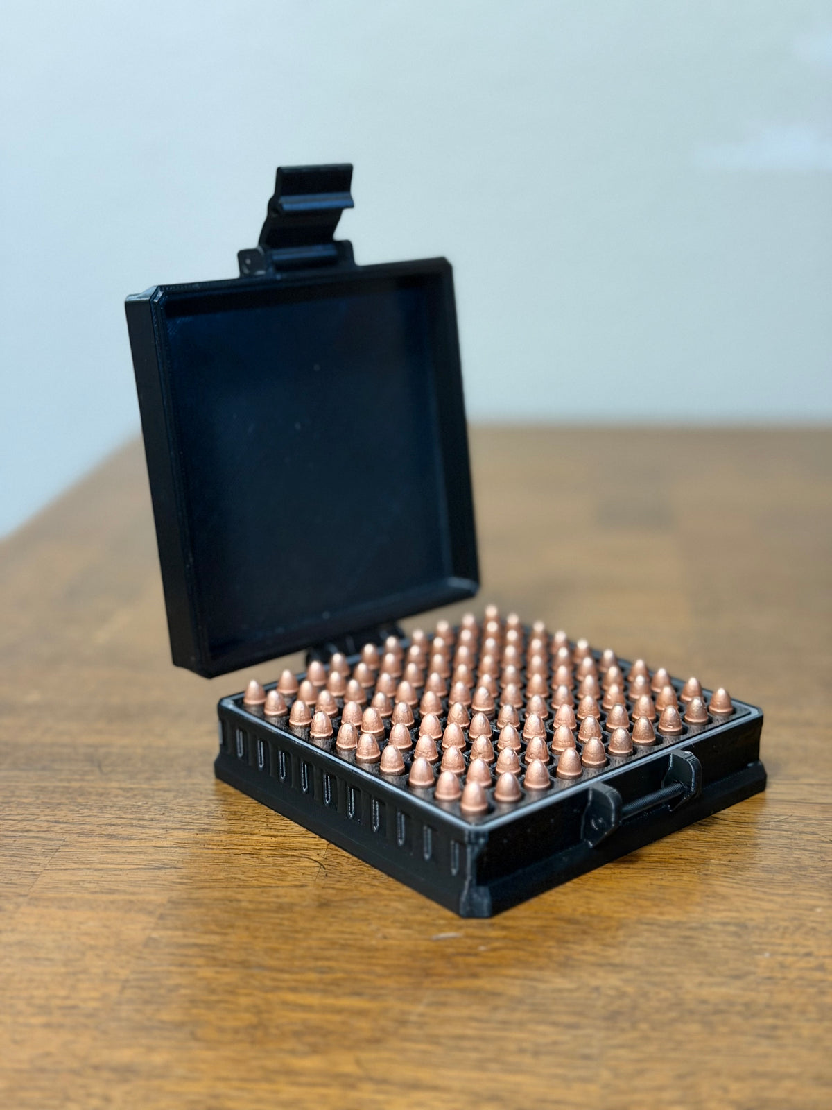 100rd 22LR Ammo Case
